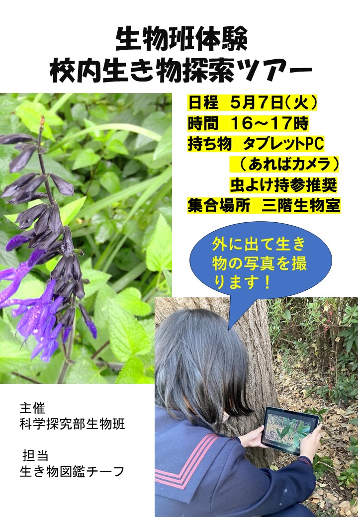 生き物図鑑新歓ポスター