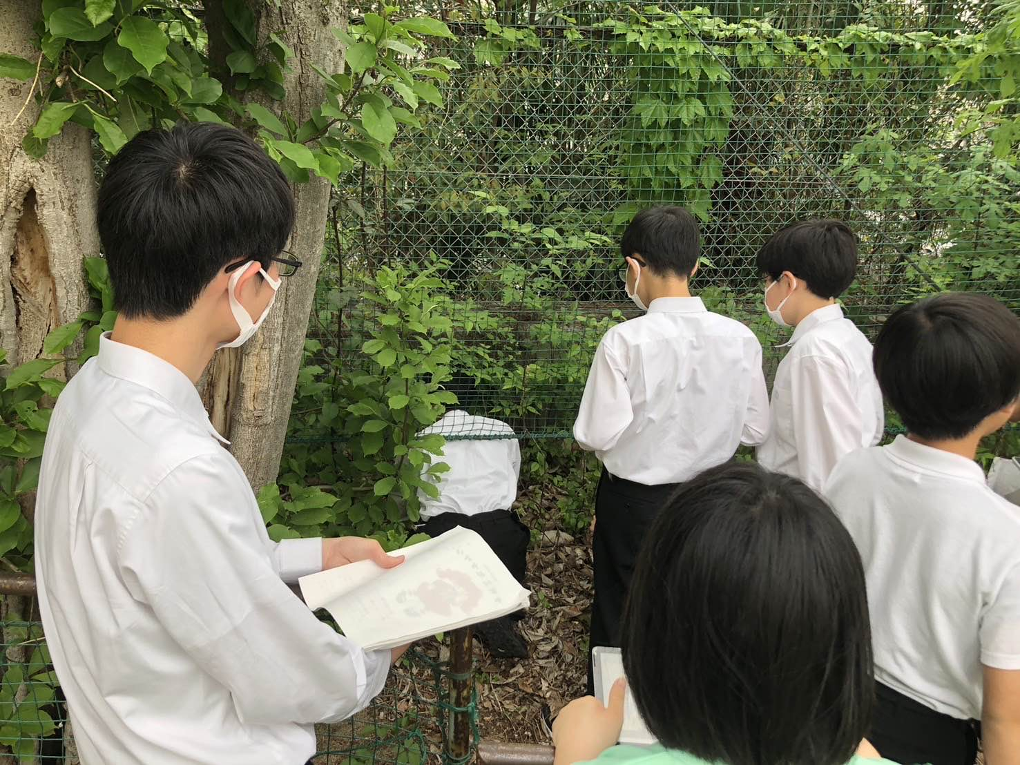 生物班1