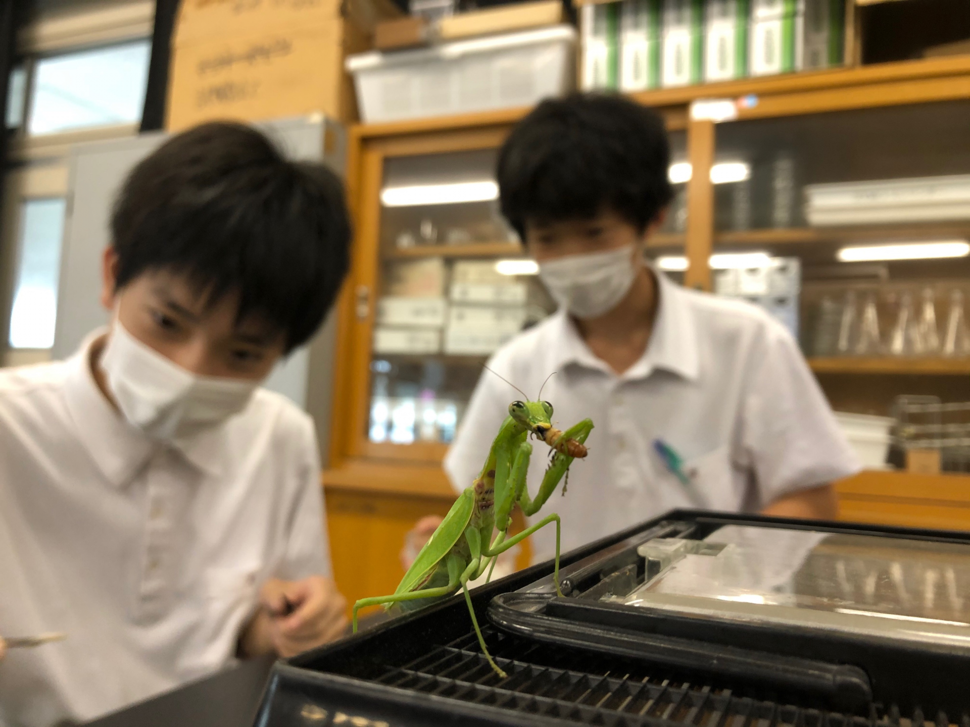 生物班部会１