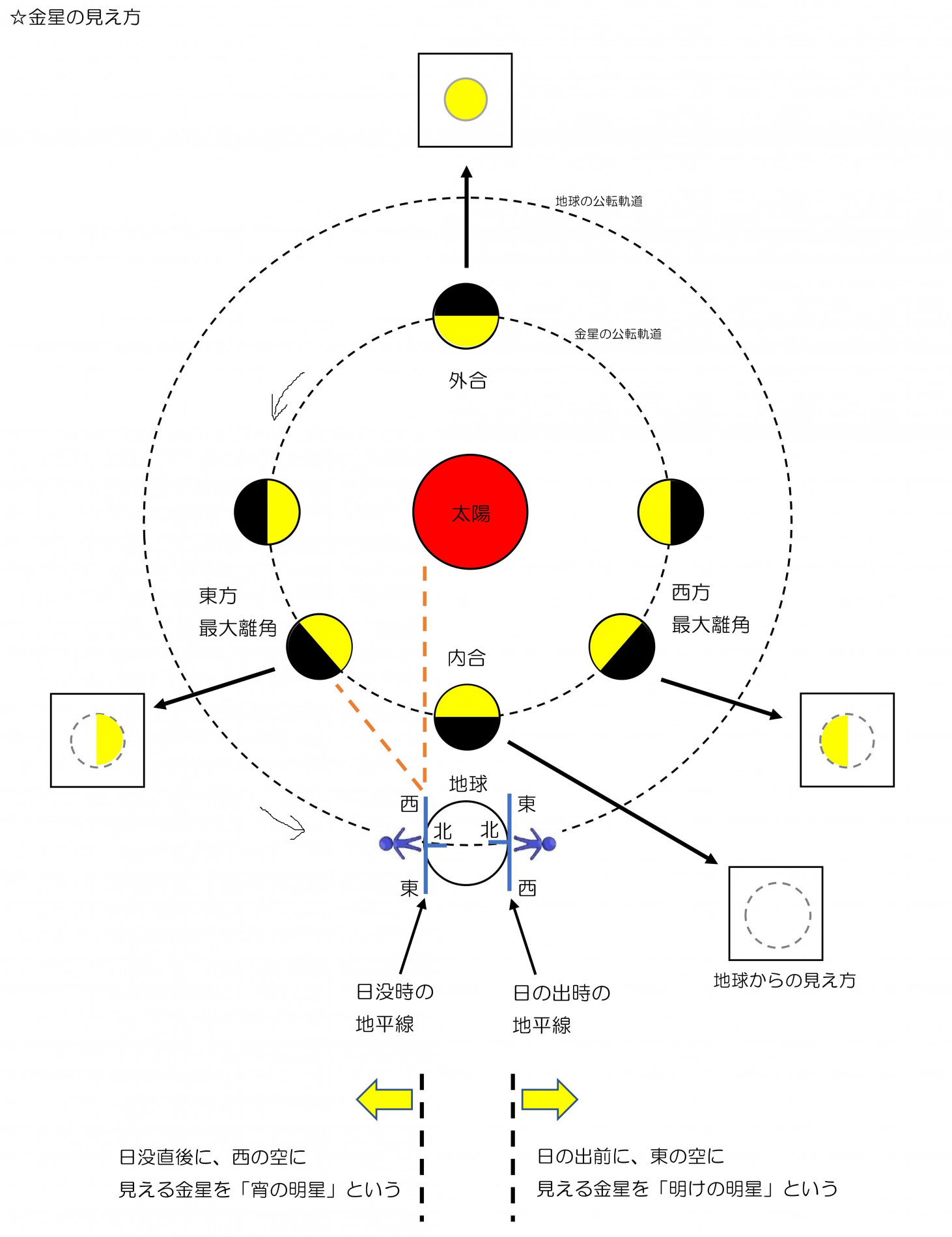 金星の見え方