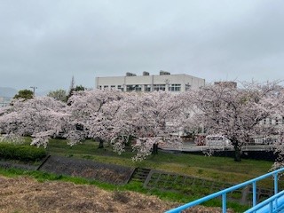 240409校舎
