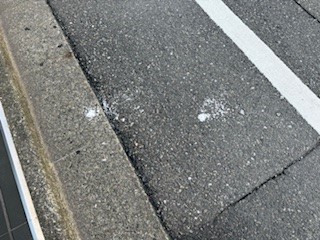 240515ゴミ２