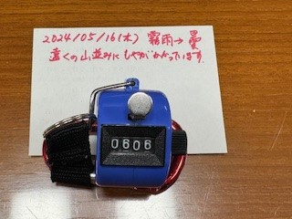 240516おはようカウンター