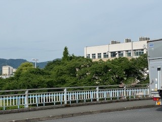 240521風景