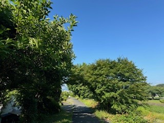 240611河川敷
