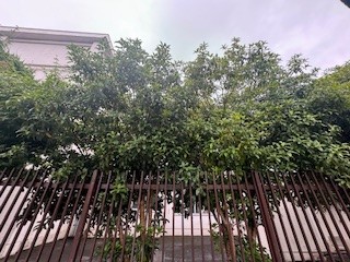 240628元八王子中２