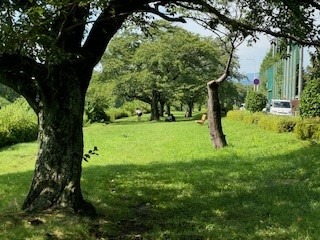 240726陸上部