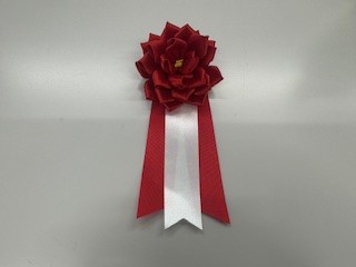 241108南平３