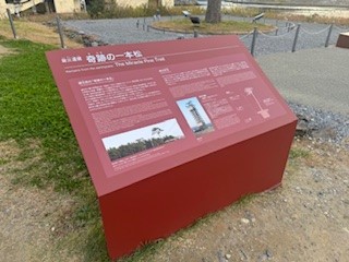 241112一本松4