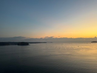 241113朝１