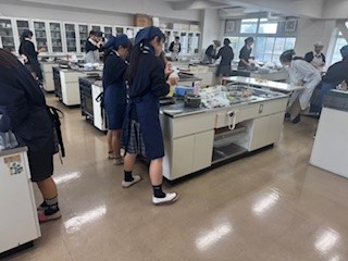 241126調理８