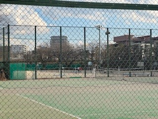 241226テニス