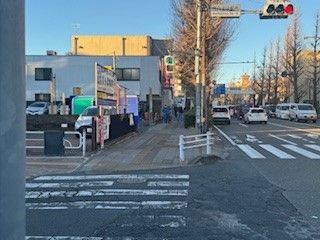 250110銀杏並木