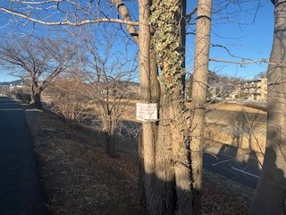 250220吹看板１