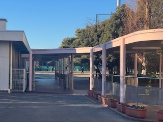 250220野球部