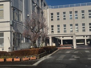 250317梅