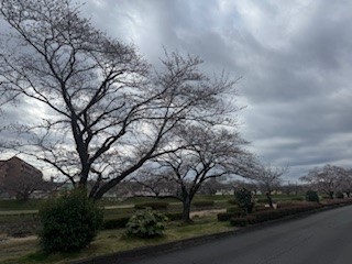 250331河川敷