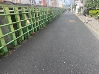 250526ごみ