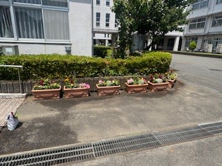 250607PTA１