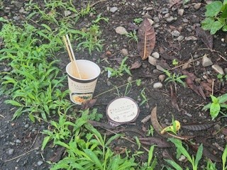 250612ゴミ