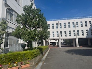 250618梅１