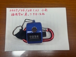 250624おはようカウンター