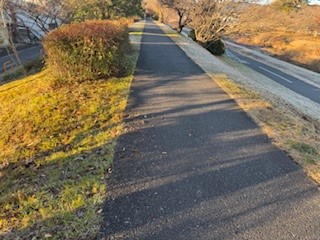 251218河川敷