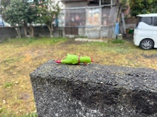 260316落とし物③