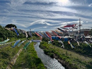 260503端午祭り３