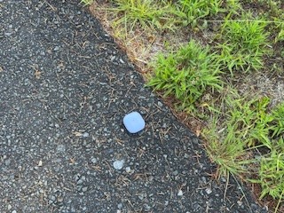 260514おとしもの