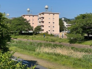 260514ランニング