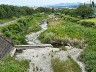 260602南浅川
