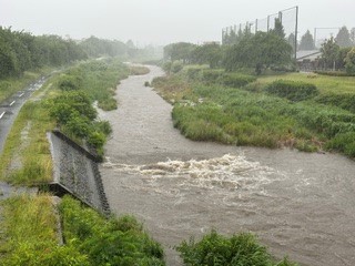 260603南浅川１