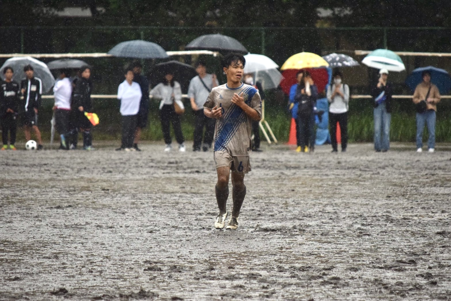 6番