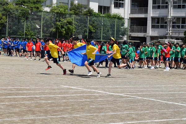 DSC_0246.JPG