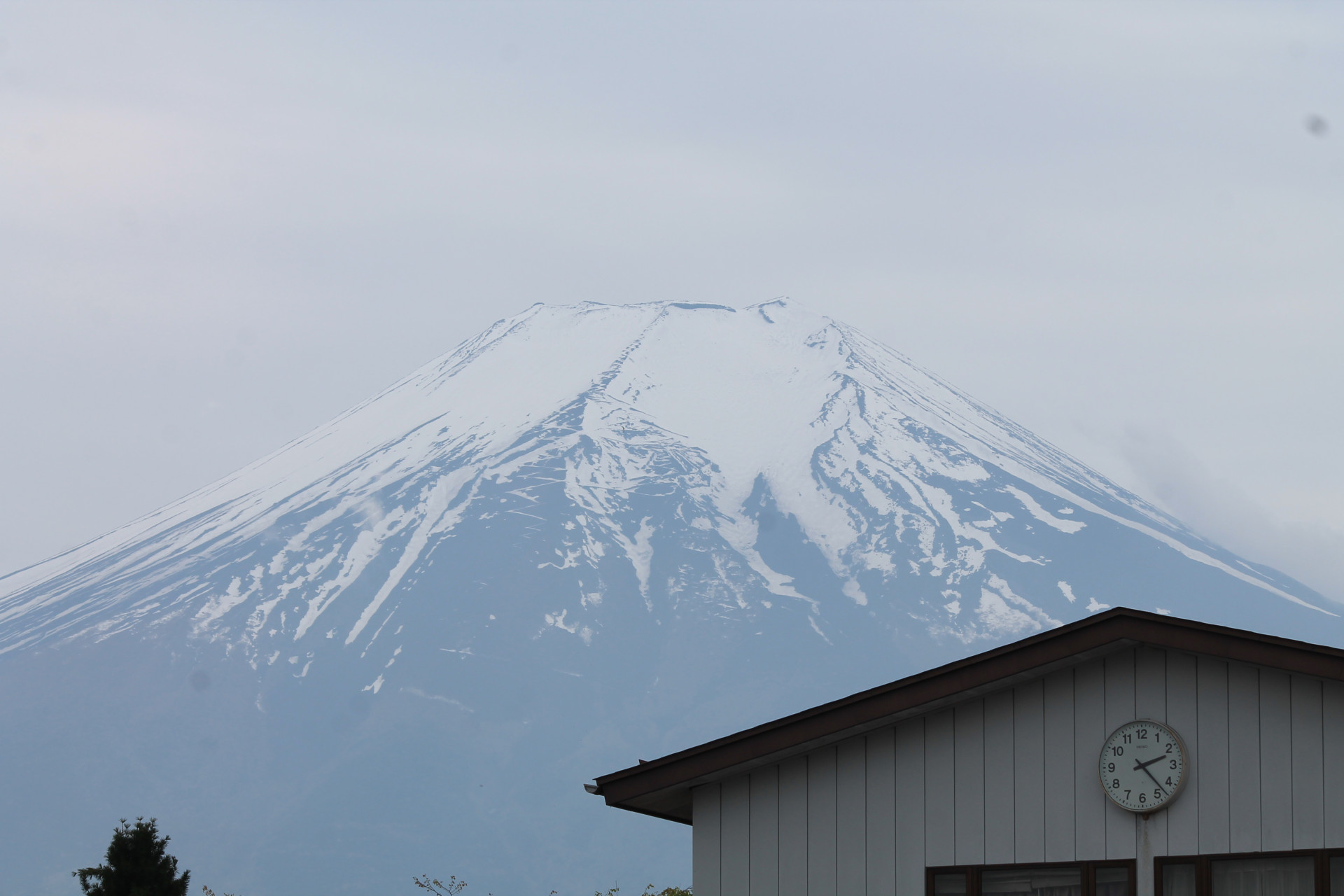 IMG_6704.JPG