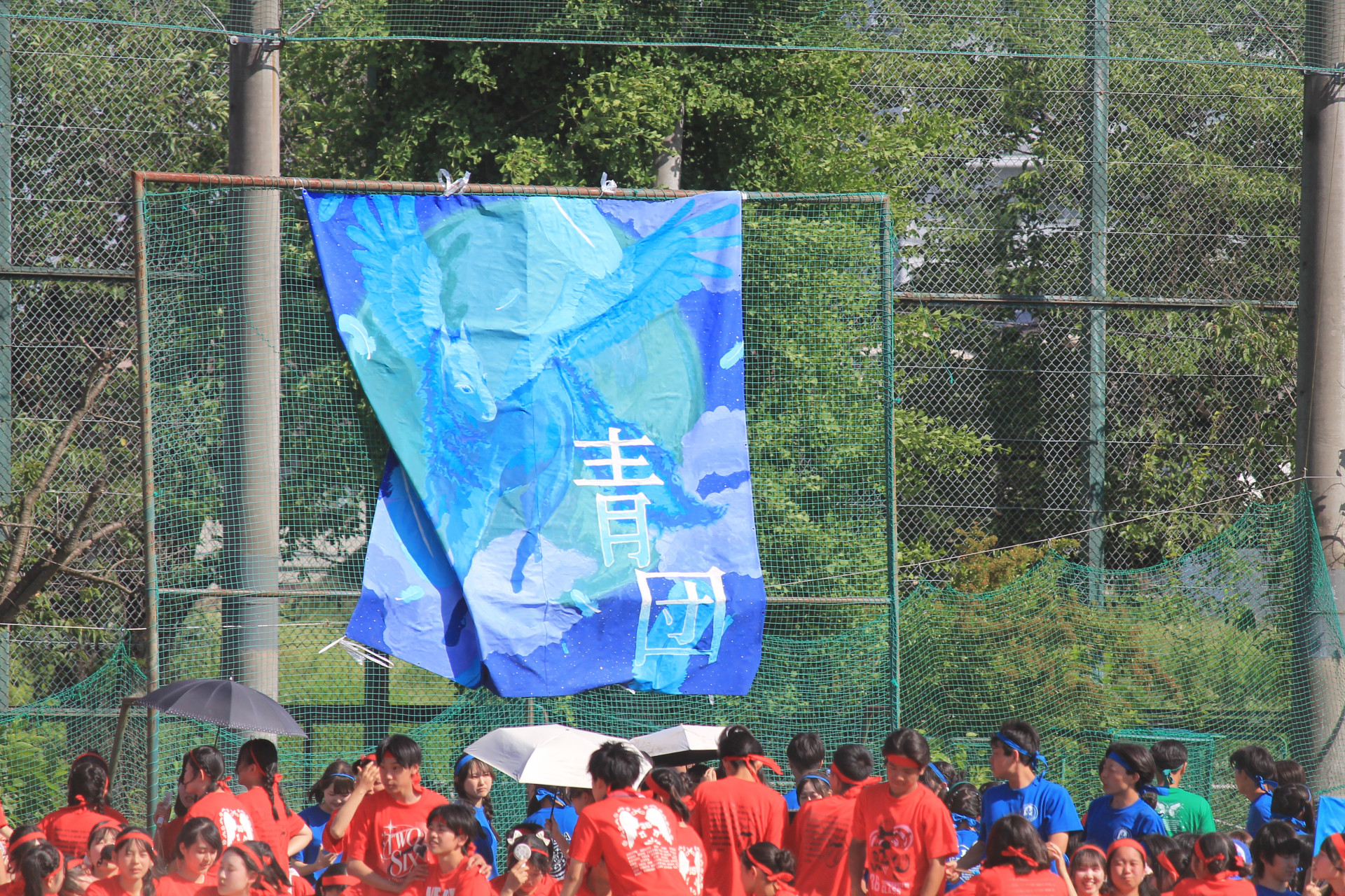 IMG_8738.JPG