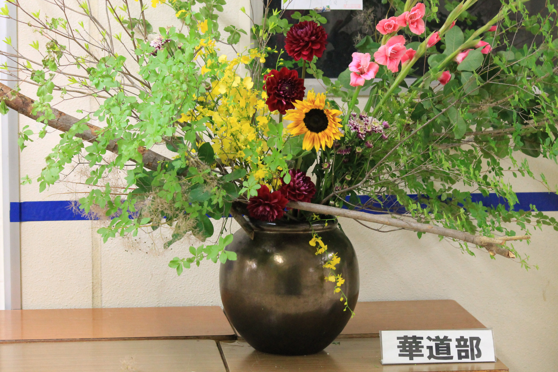 IMG_8843.JPG