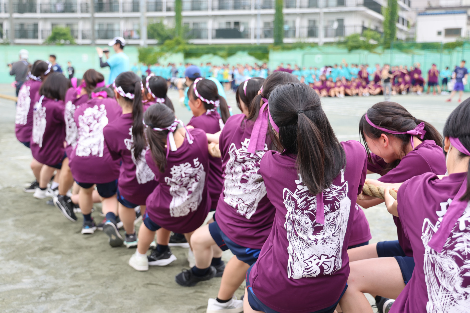 1J8A3598.JPG