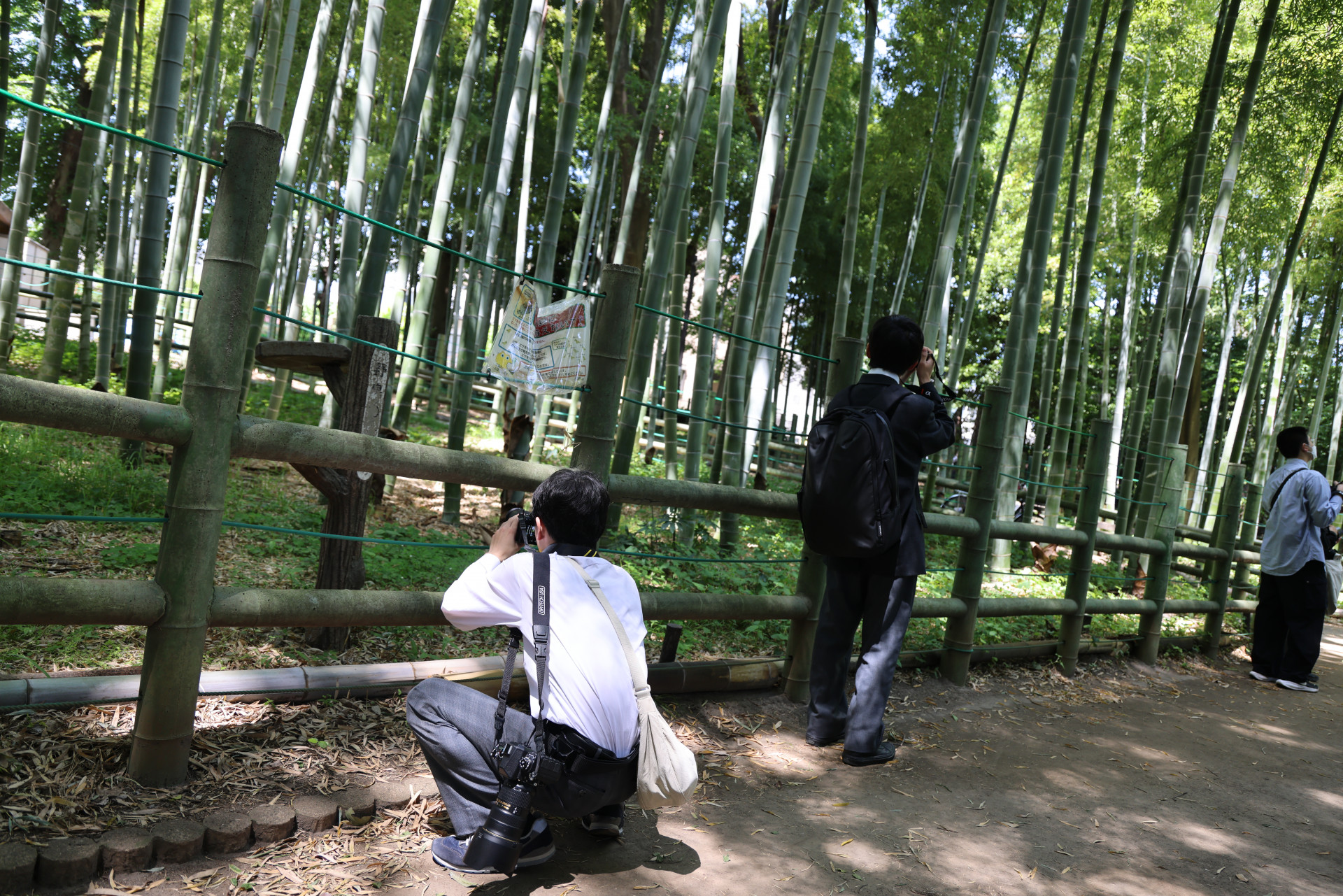 1J8A7421.JPG