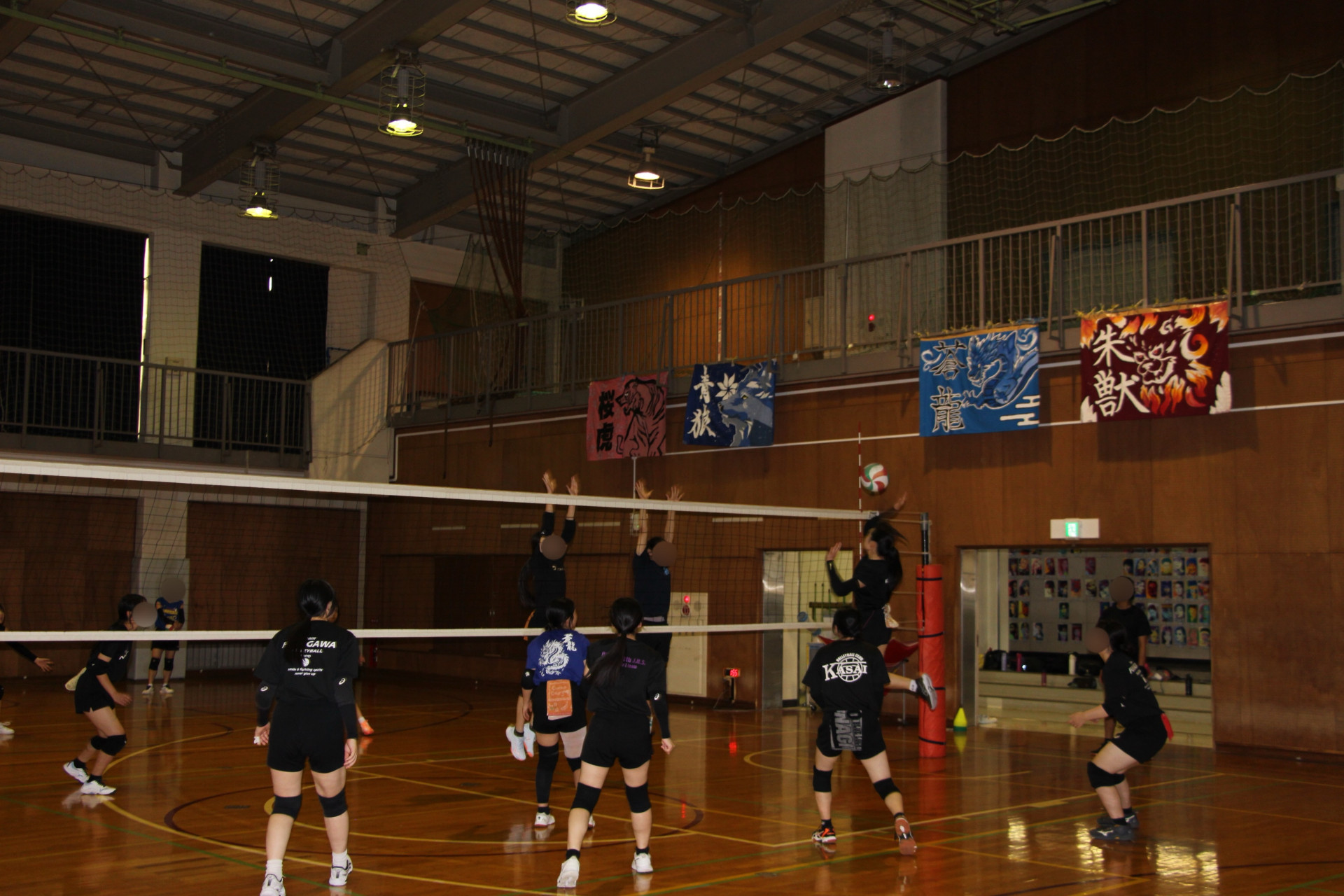 女子バレーボール