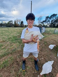 NZ留学友人宅牧場