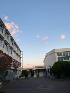 IMG_3603