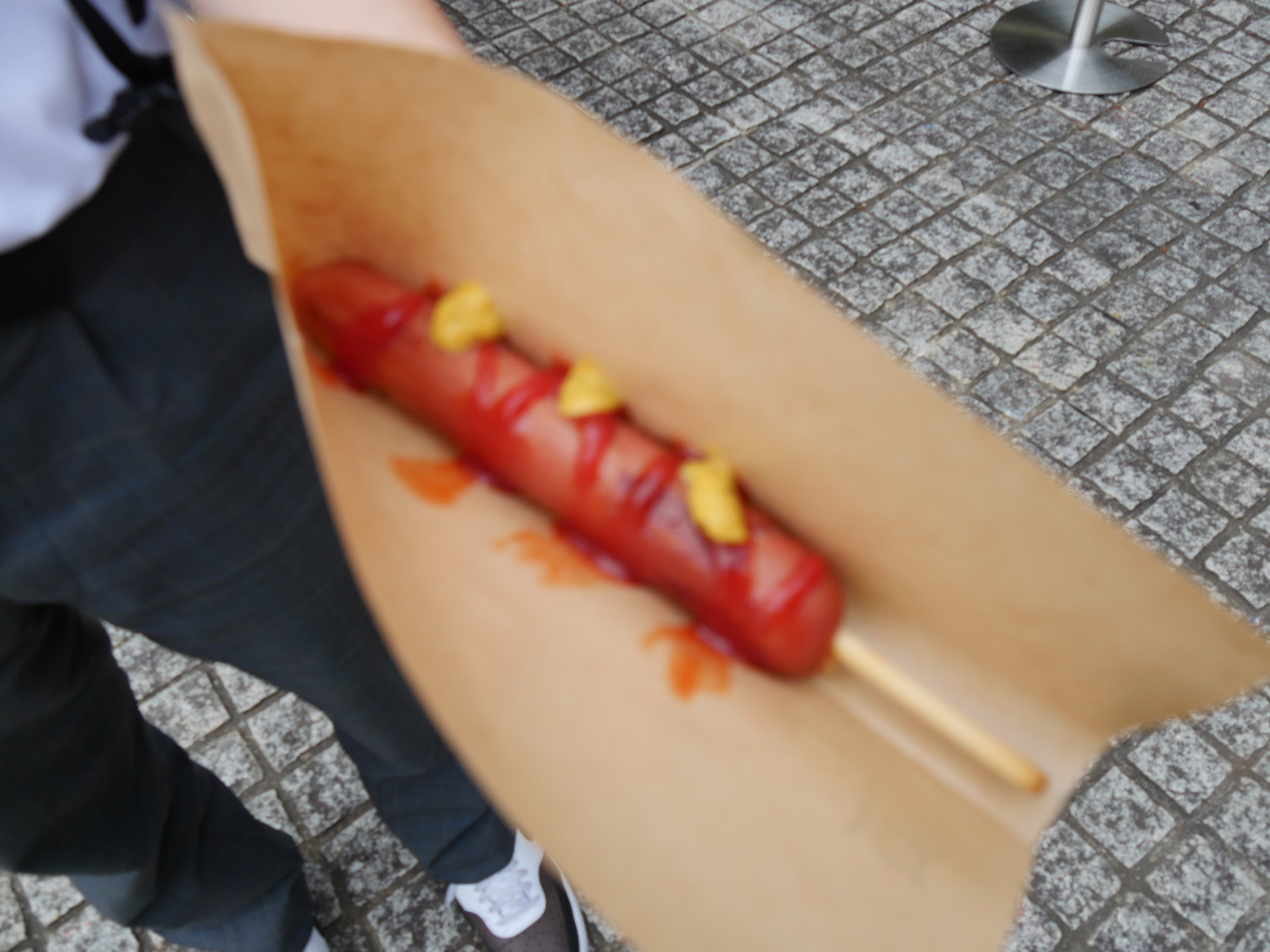 P1032853.JPG