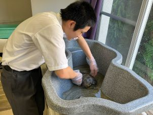 seibutubu1