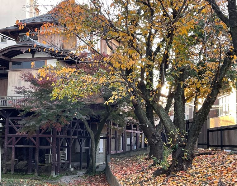 seimeitei12053