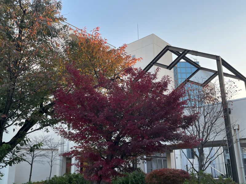 seimeitei12054