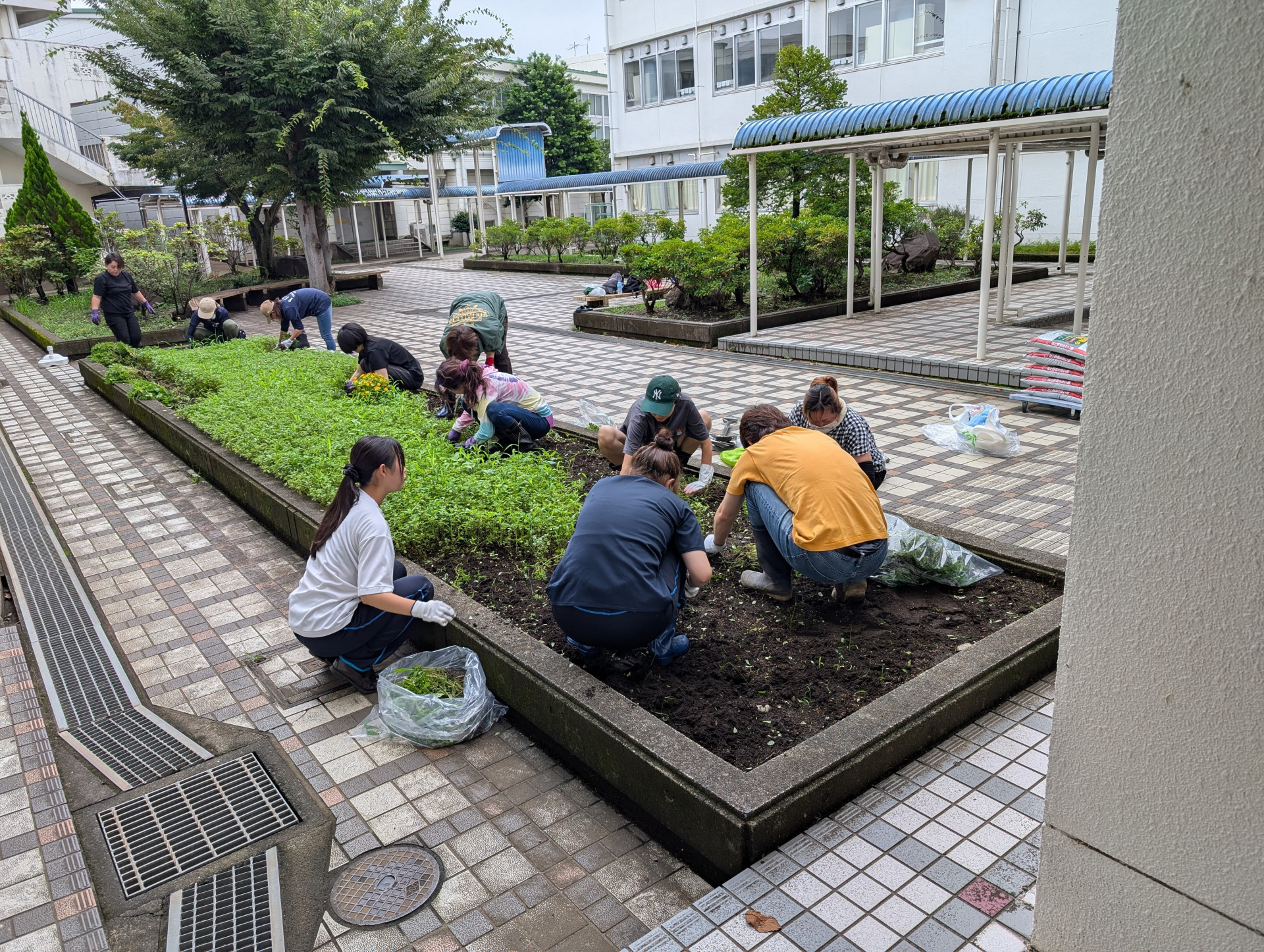 03_草取り中
