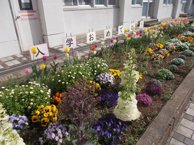 DSCN4414.JPG
