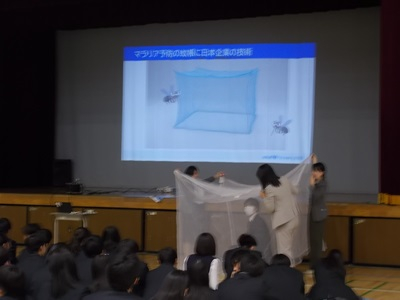 DSCN4591.JPG